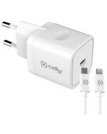 Travel charger USB-C 20W + Lightning Cable